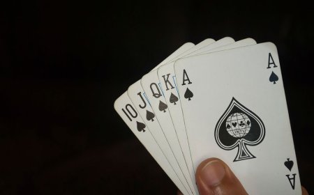 Lotus365: India’s #1 Trusted Online Betting & Casino Platform