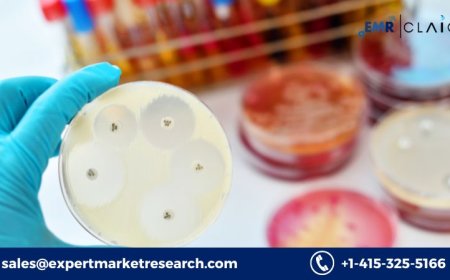 Patient Engagement Solutions Market: Demand Forecast and Future Growth  (2034)