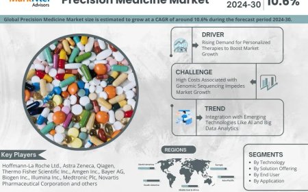 Precision Medicine Market Share & Forecast 2024–2030: Insights & Drivers