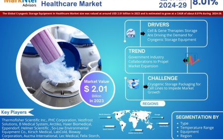 Cryogenic Storage Equipment in Healthcare Market Share & Forecast 2024–2029: Insights & Drivers