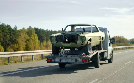 Inside the Scrap Yard: Mechanics, Machines, and the Art of Recovery