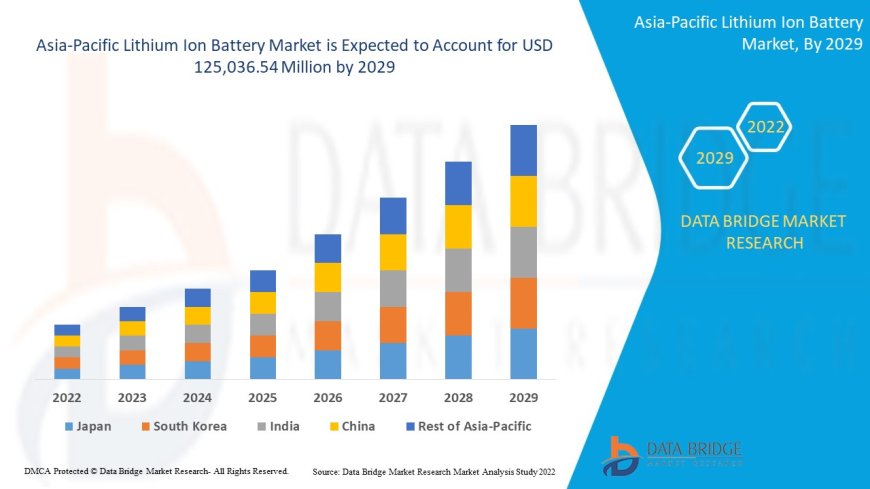 Asia-Pacific Lithium Ion Battery Sector: Forecast and Outlook 2025 - 2032