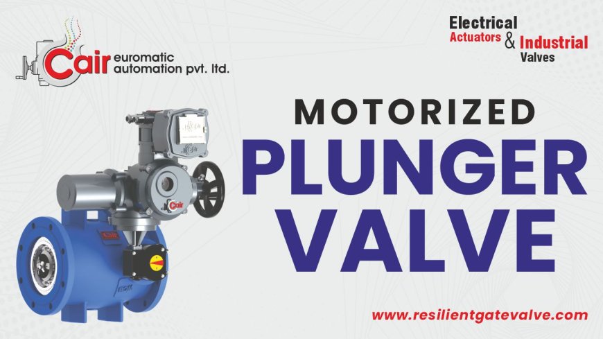 Buyer's Guide: Choosing the Right Plunger Valve for Your Project