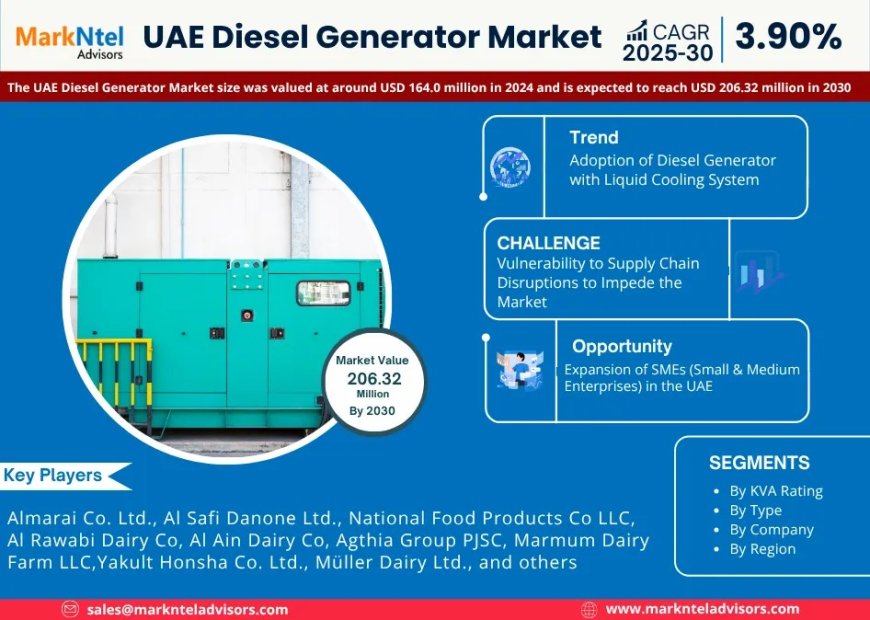 UAE Diesel Generator Set to Grow at 3.90% CAGR, Reaching USD 206.32 Billion by 2030