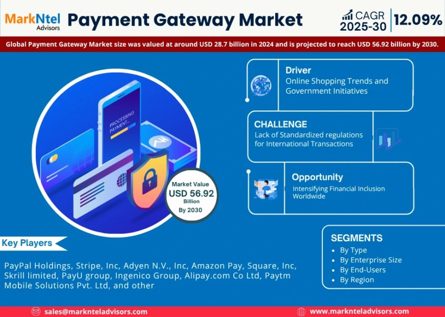 Global Payment Gateway Market Value and Growth Projections for 2025 - 2030