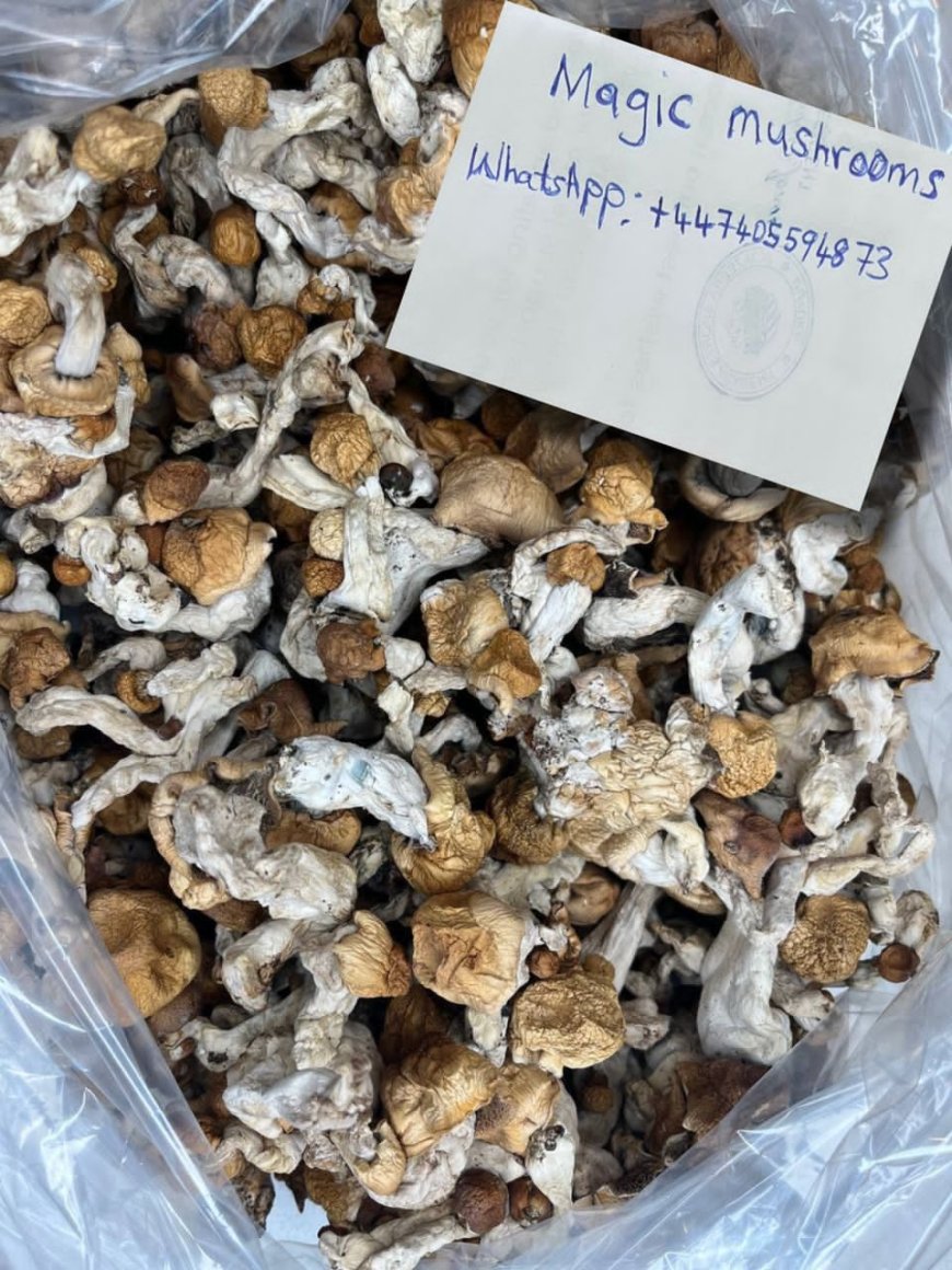 How much is magic mushrooms near me