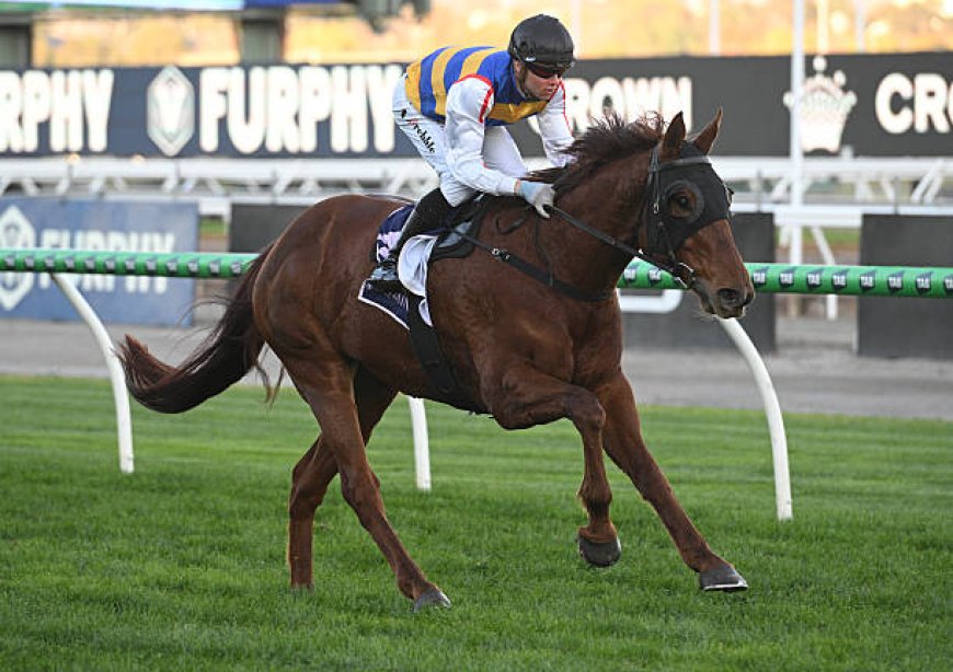 Unlocking Winning Potential: Discover the Best VicBet in Australia