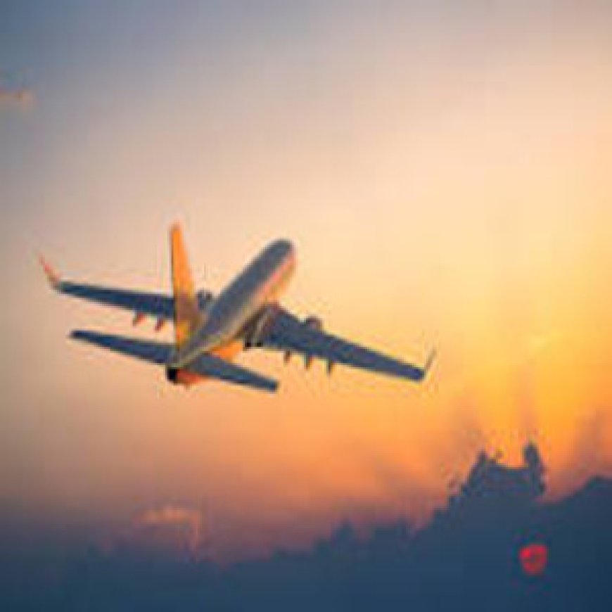 Spirit Airlines®️USA Contact Numbers: Complete 2025 Support Guide