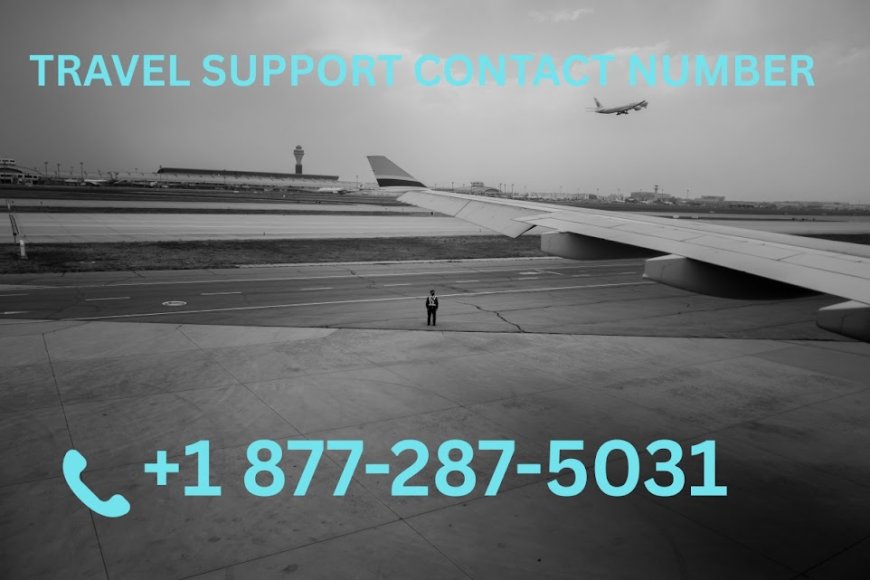 Two Handy Ways To Get In Touch With Expedia®️Support Fast