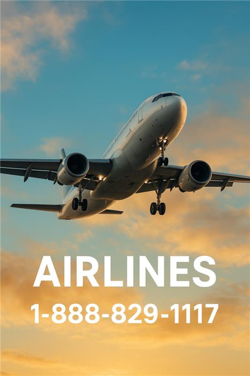 34  Ways to Reach Get In Touch With Air New Zealand(U.S) : A Step-by-Step Guide