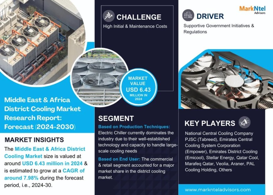 Middle East & Africa District Cooling Market Share & Forecast 2024–2030: Insights & Drivers