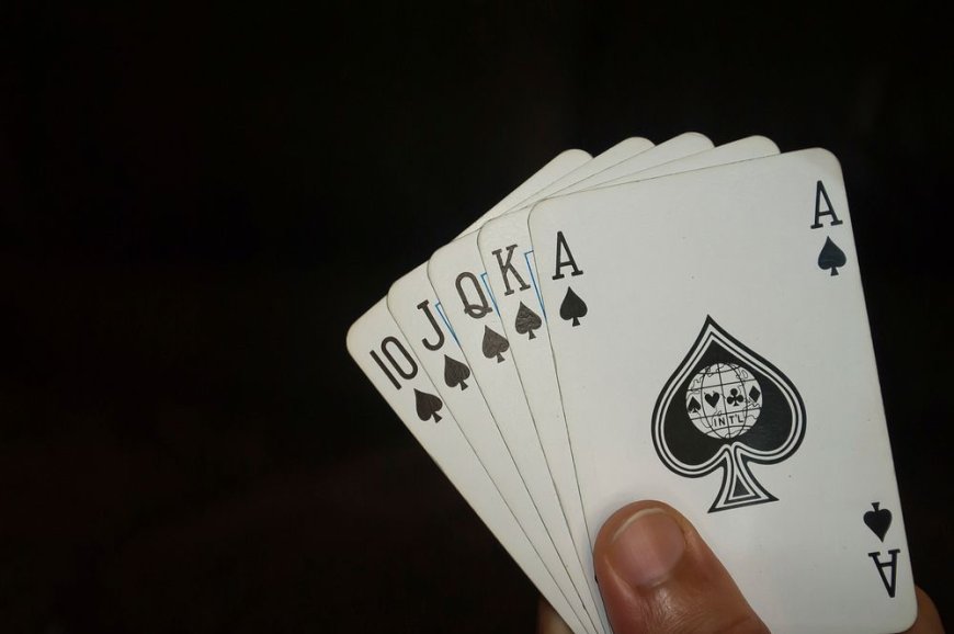 Lotus365: India’s #1 Trusted Online Betting & Casino Platform