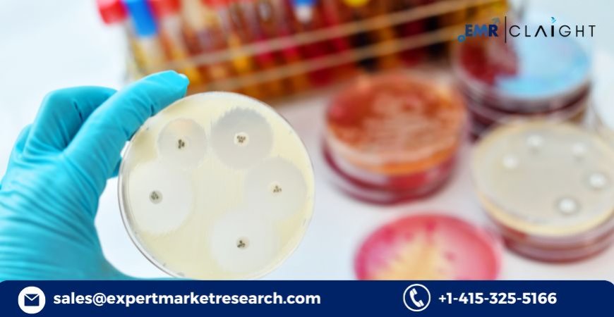Patient Engagement Solutions Market: Demand Forecast and Future Growth (2034)