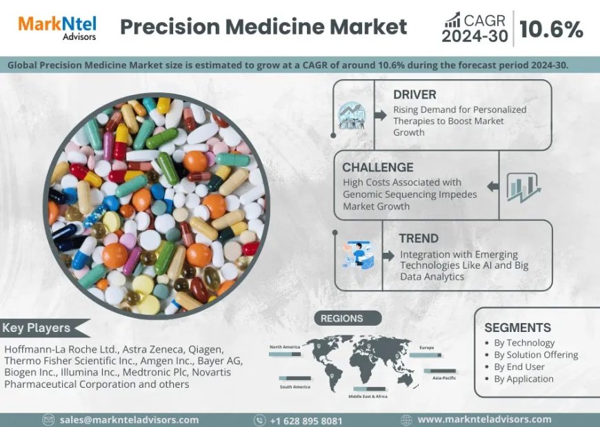 Precision Medicine Market Share & Forecast 2024–2030: Insights & Drivers