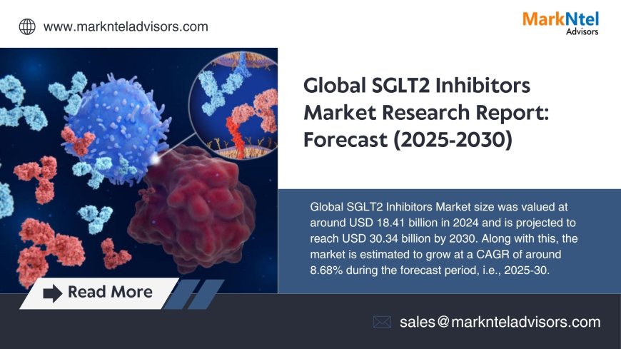 SGLT2 Inhibitors Market Size, Competitive Landscape and Outlook 2030