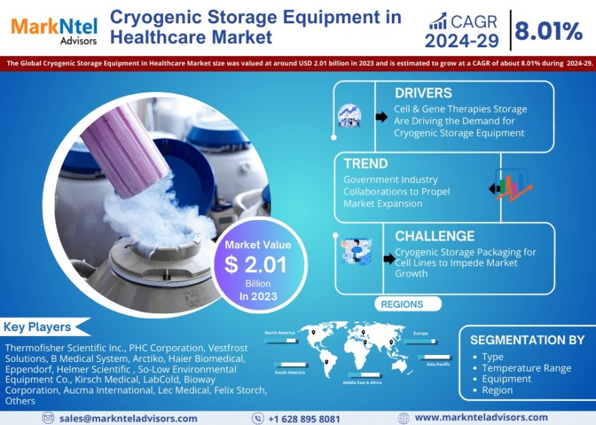 Cryogenic Storage Equipment in Healthcare Market Share & Forecast 2024–2029: Insights & Drivers