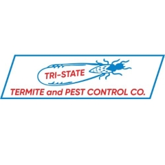 tristatetermite